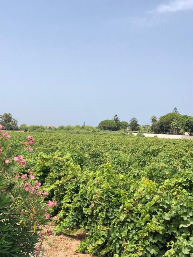 Stella Marina Villa Marsala Esterno foto